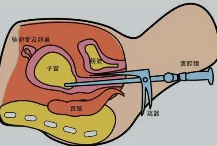 青岛试管助孕机构排名 (223)